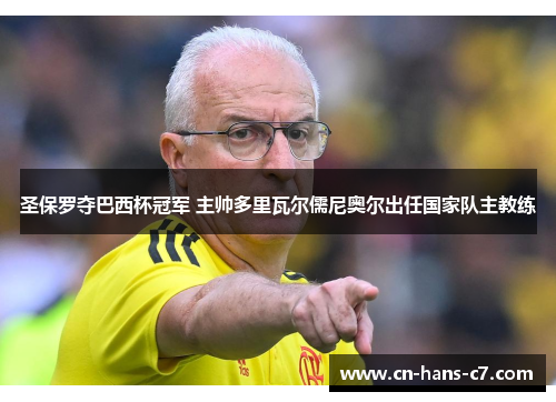 圣保罗夺巴西杯冠军 主帅多里瓦尔儒尼奥尔出任国家队主教练